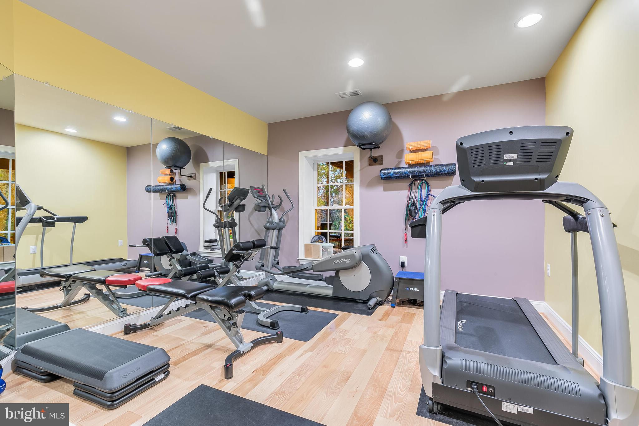 42432 Corro Place Ashburn, VA 20148 - Photo 48 of 55 Home Gym