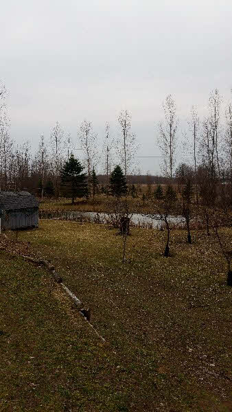 4830 Klender Road Rhodes, MI 48652 - Photo 7 of 24