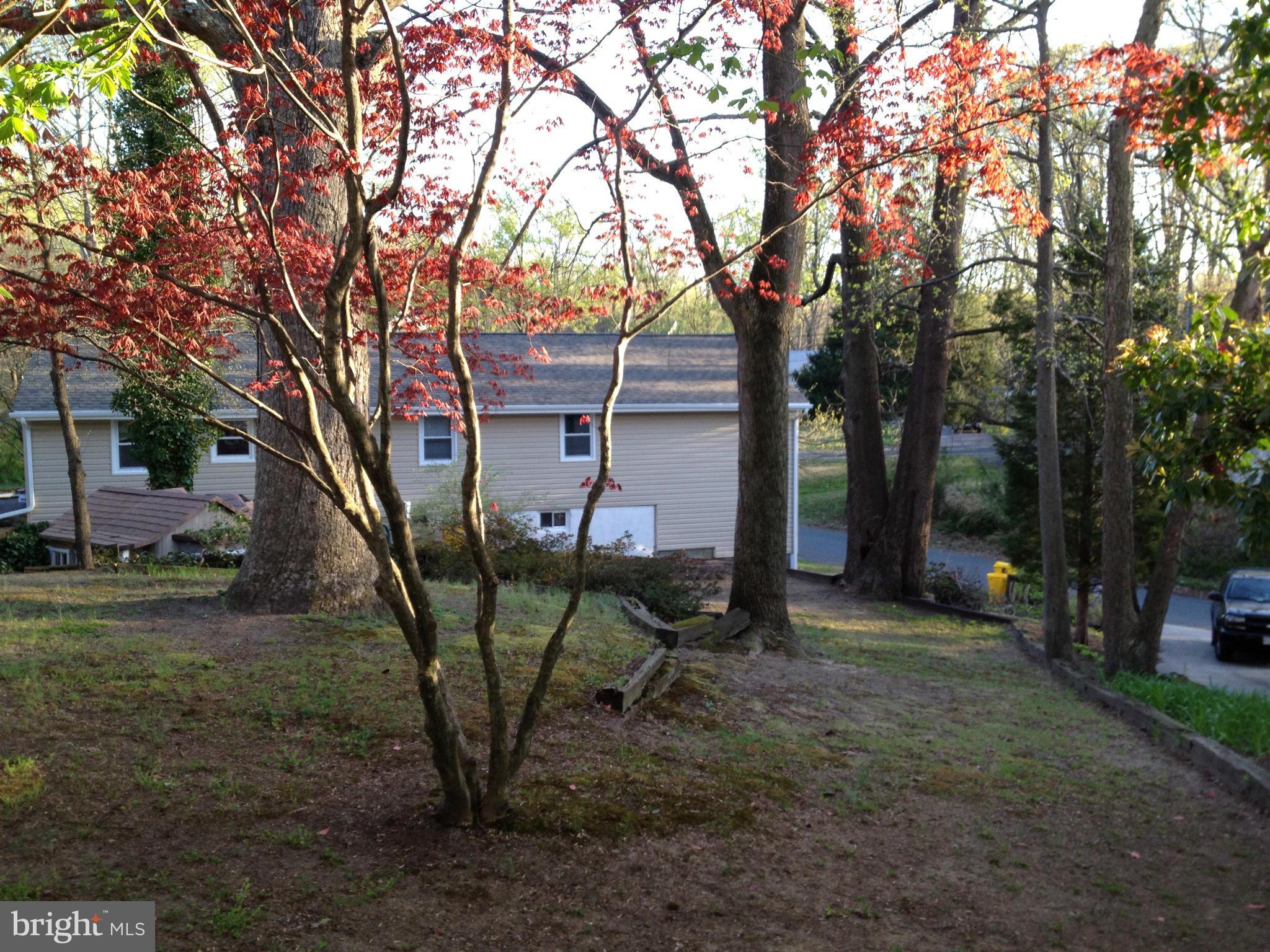 136 Shore Road Arnold, MD 21012 - Photo 8 of 8 Exterior (Rear)