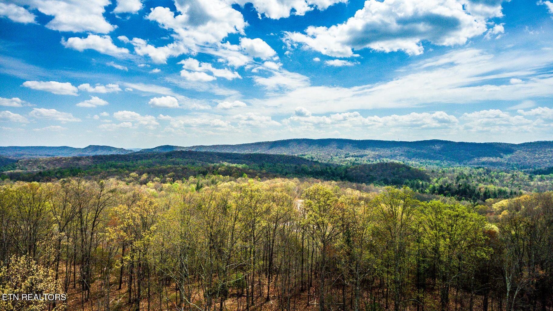 Green Ridge Trail, Unit 7 Harriman, TN 37748 - Photo 3 of 7 Photo 1