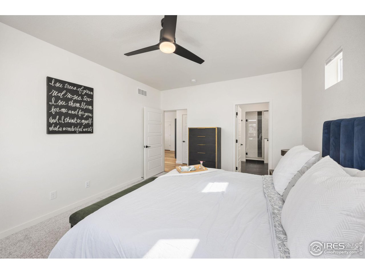 1059 Larkspur Drive Erie, CO 80516 - Photo 12 of 40