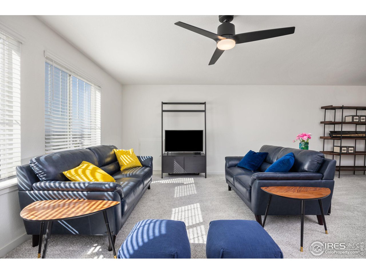 1059 Larkspur Drive Erie, CO 80516 - Photo 21 of 40 Upstairs TV/loft area