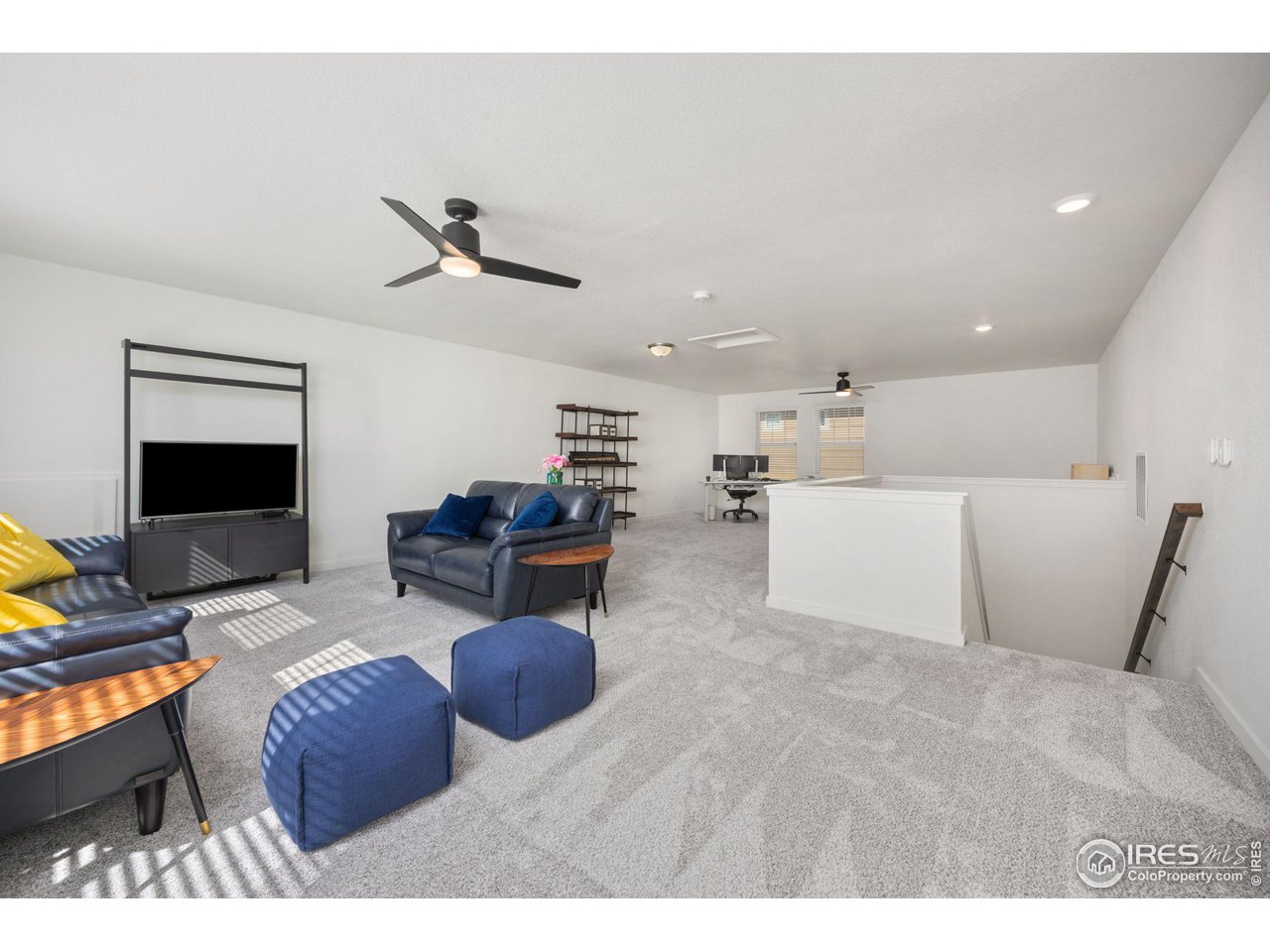 1059 Larkspur Drive Erie, CO 80516 - Photo 22 of 40 Upstairs loft area, so many ways to use this space!