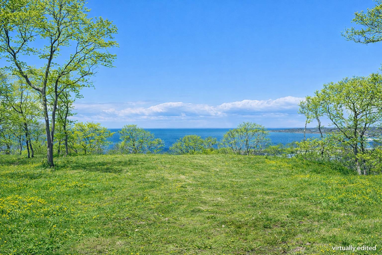 6 Ft Pond Road Montauk, NY 11954 - Photo 2 of 8 a view of a lush green space