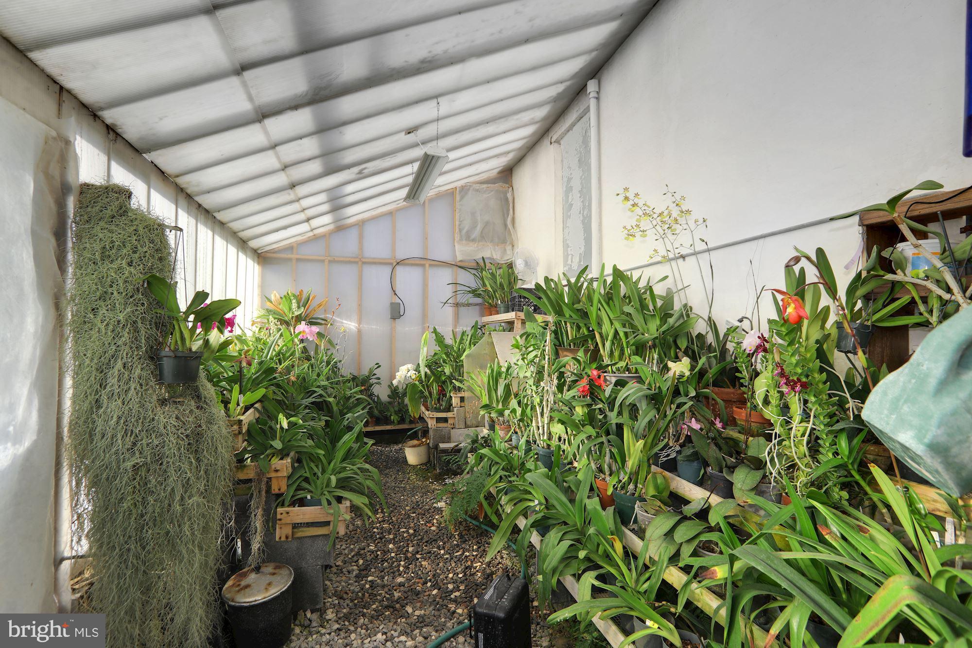 115 Kansas Road Pennsville, NJ 08070 - Photo 24 of 30 Greenhouse/plants not included