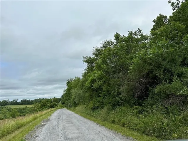 a view of a pathway both side of grassy field with trees