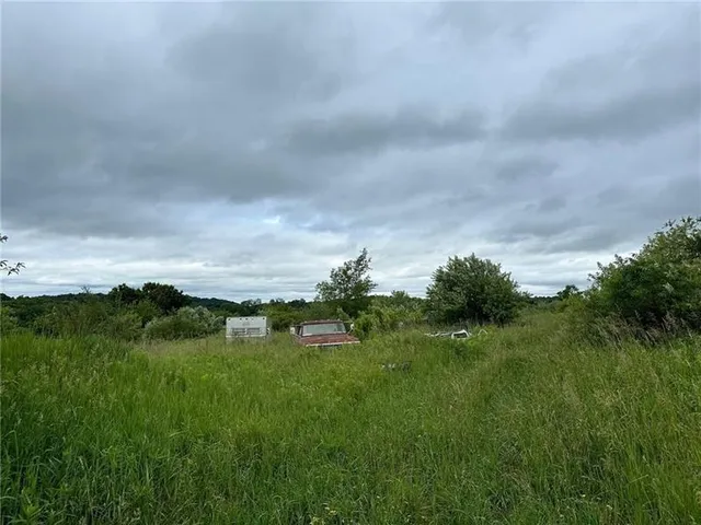 a view of a big yard with plants and a big yard