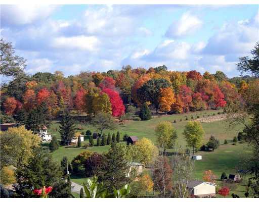1273 Old State Road Apollo, PA 15613 - Photo 11 of 18 View. Fall View