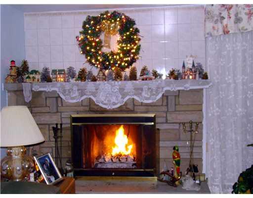 1273 Old State Road Apollo, PA 15613 - Photo 14 of 18 Other. Fireplace at Christmas Time