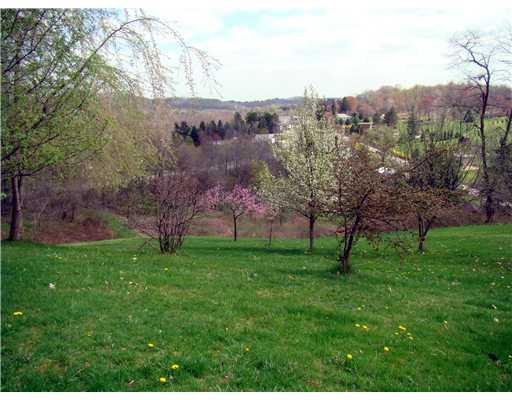 1273 Old State Road Apollo, PA 15613 - Photo 18 of 18 Land/Lot.