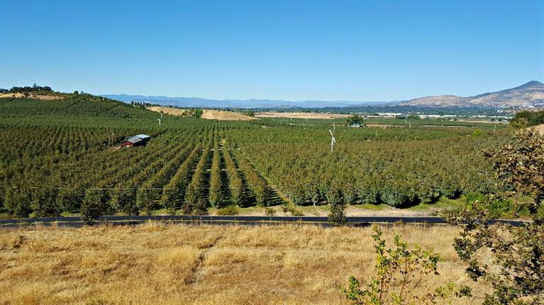 1281 Carpenter Hill Road Medford, OR 97501 - Photo 15 of 18 Additional Photo