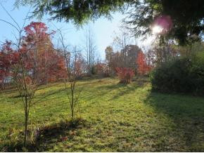 510 Ray Simerly Road Hampton, TN 37658 - Photo 18 of 18 Photo 18