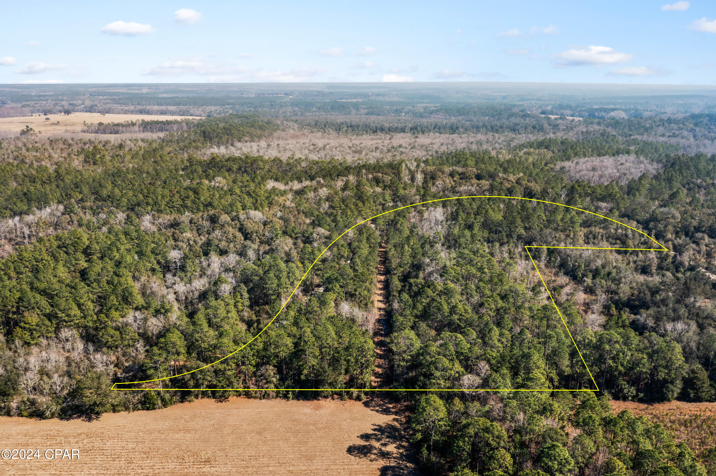 1679 Lawrence Road Bonifay, FL 32425 - Photo 5 of 18 Gallery Image 5