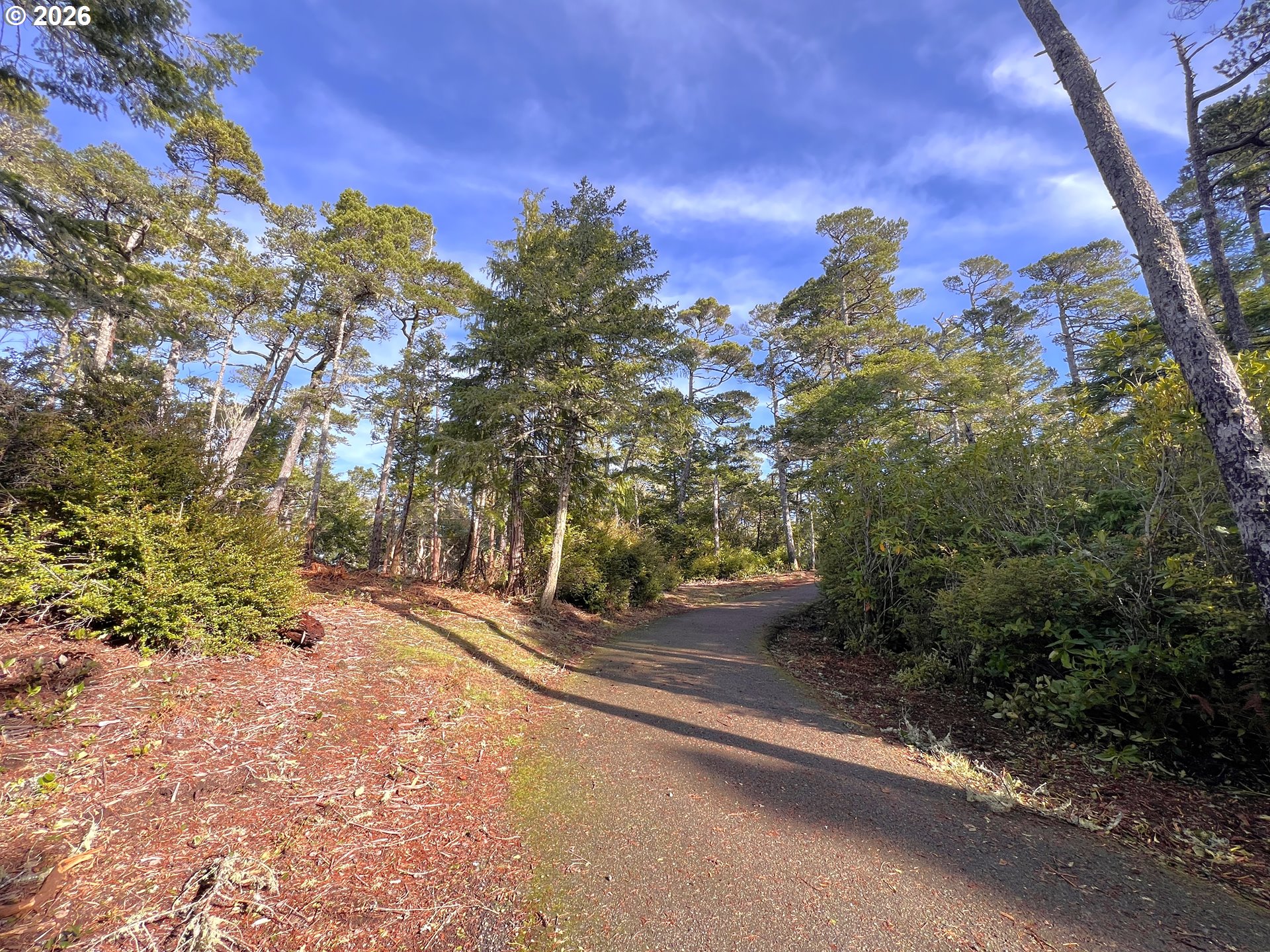 1085 Park Place Coos Bay, OR 97420 - Photo 24 of 28