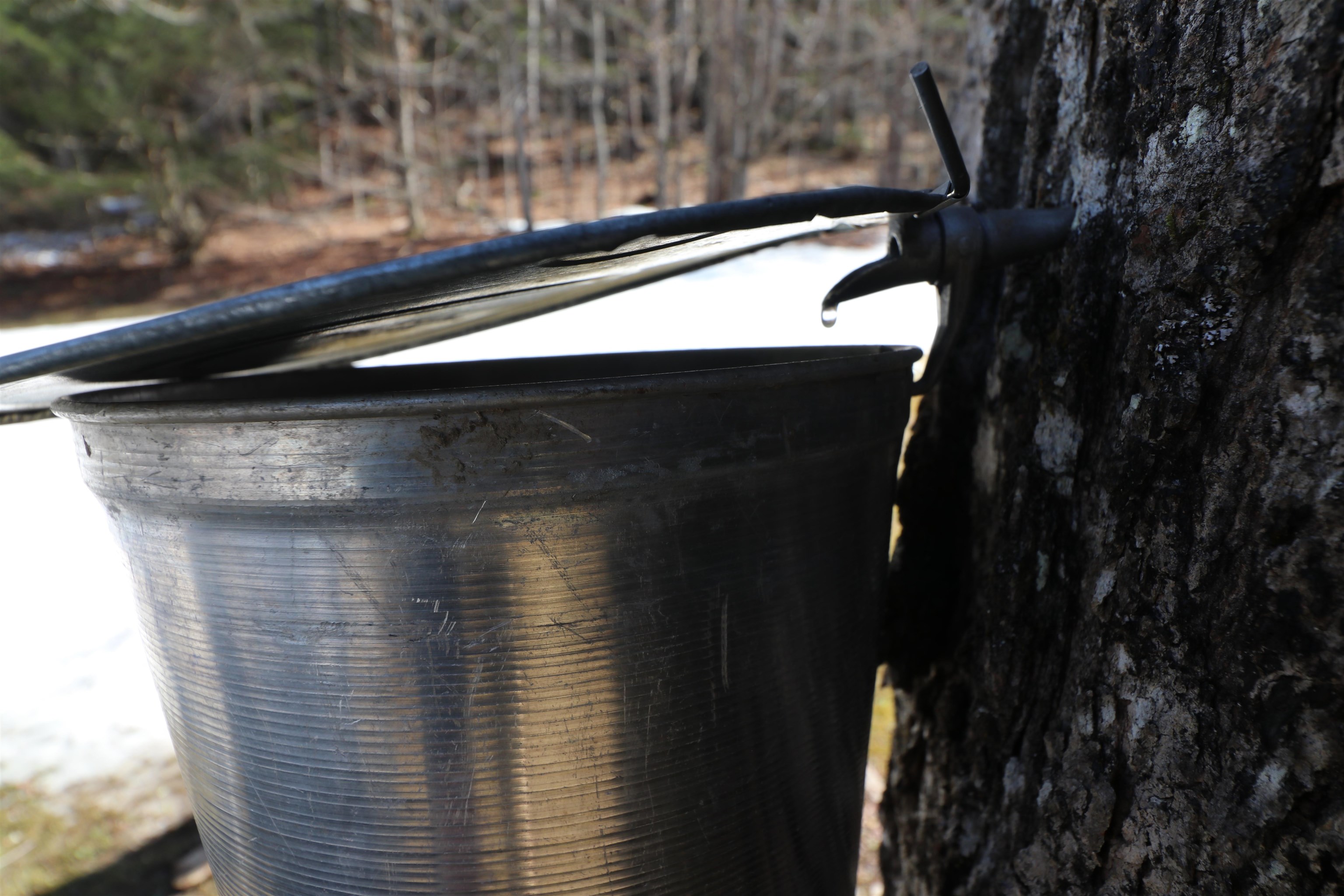 3955 Vermont Rte 100 Warren, VT 05674 - Photo 59 of 59