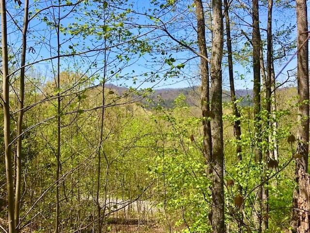5056 Long Rifle Road Walland, TN 37886 - Photo 19 of 23 Gallery Image 19