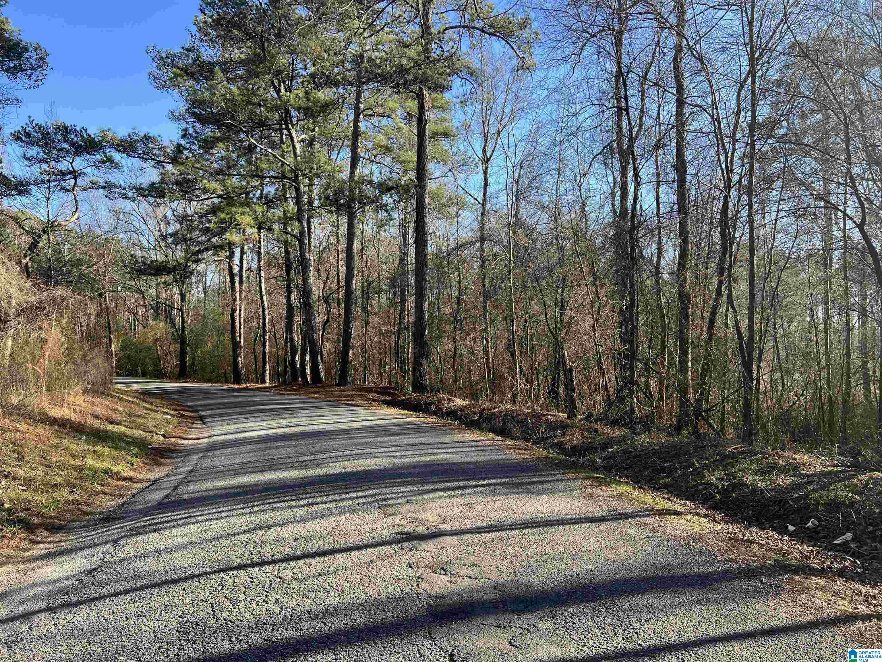 0 Altoona Cutoff Road, Unit 47 5 Oneonta, AL 35121 - Photo 13 of 36