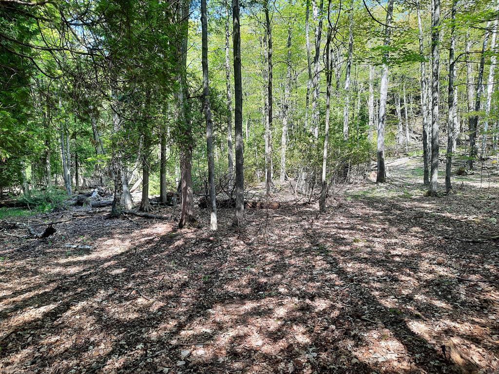 Tbd White Cliff Road Fish Creek, WI 54212 - Photo 1 of 6