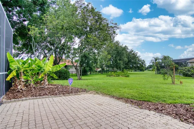 a view of a park with plants and trees
