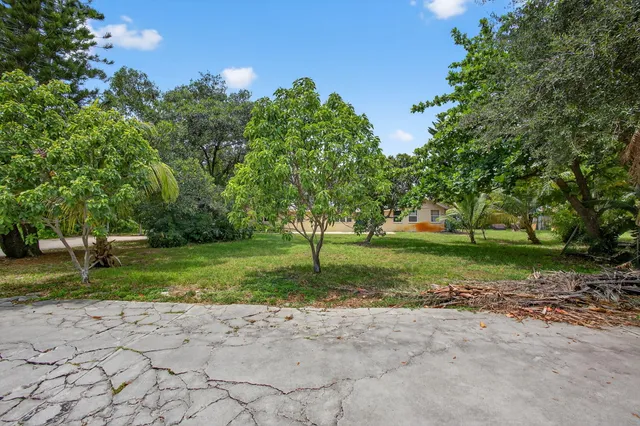a view of a park with plants and trees