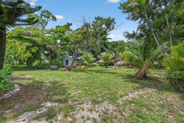 a view of backyard with green space