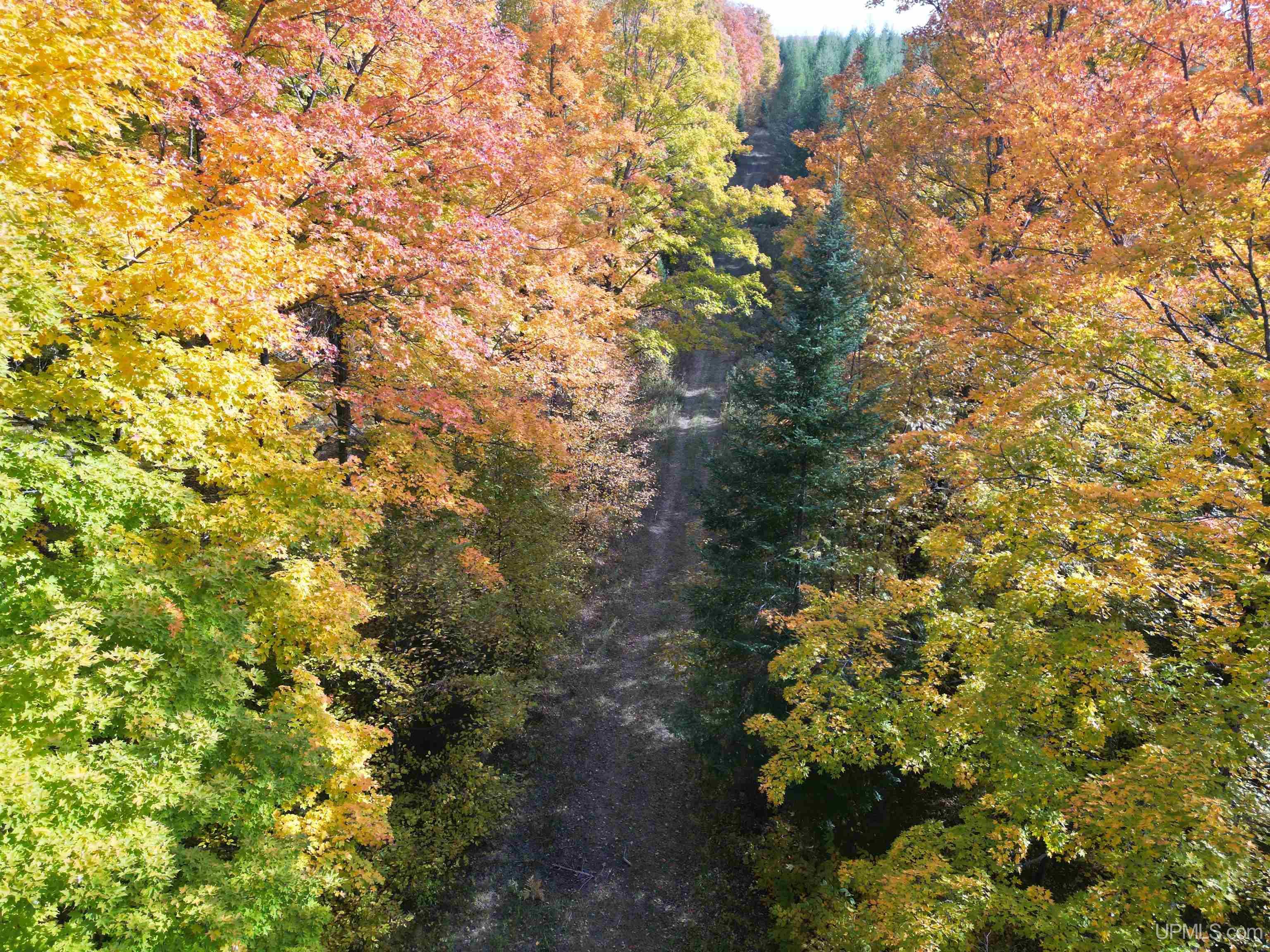80 Rd Vulcan Mi 49892 Road Vulcan, MI 49892 - Photo 20 of 49 Gallery Image 20