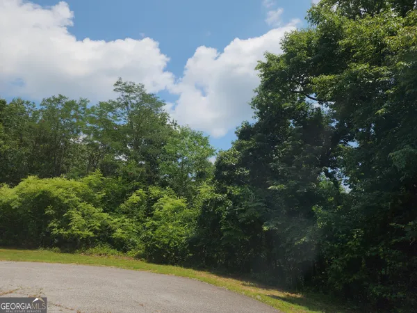 $74,900 | Lot #14 Little Eagle Mtn Mountain, Clarkesville, GA 30523