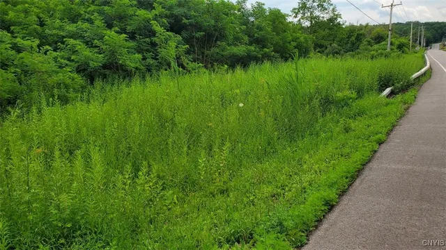 $60,000 | 0 Herman Road, Warners, NY 13164