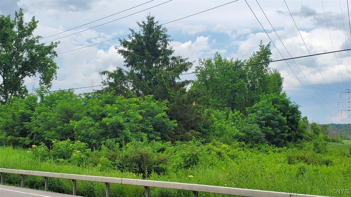 0 Herman Road Warners, NY 13164 - Photo 2 of 13