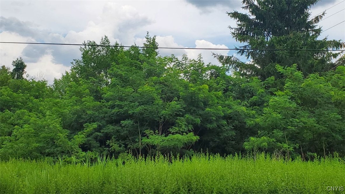 0 Herman Road Warners, NY 13164 - Photo 3 of 13