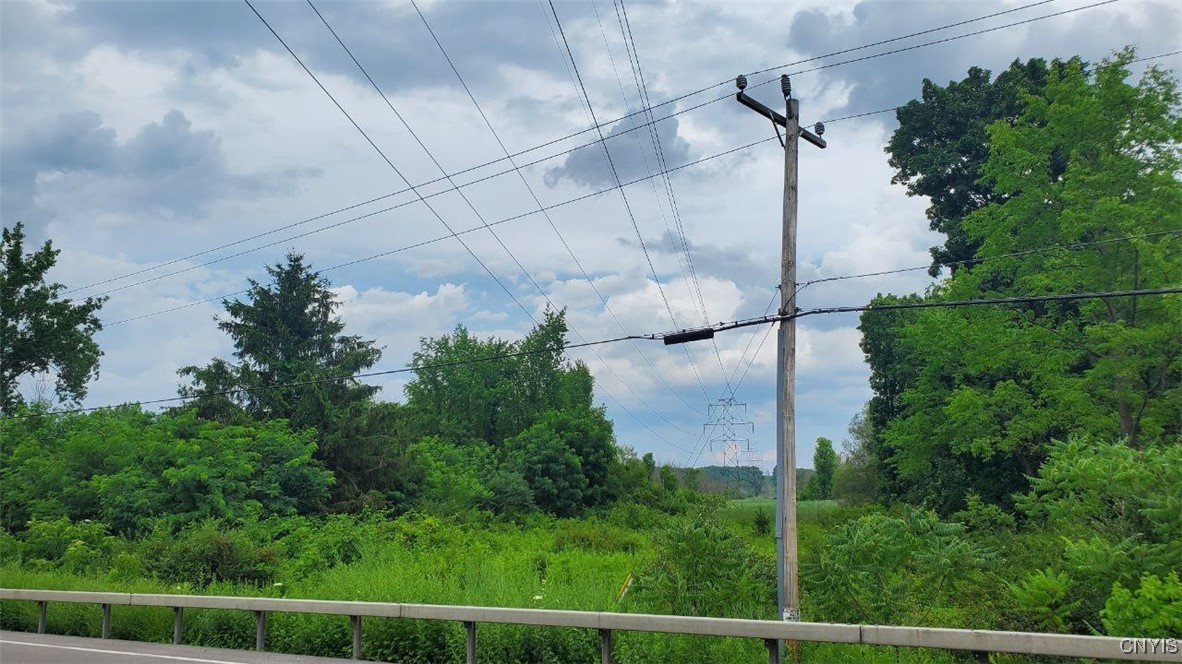 0 Herman Road Warners, NY 13164 - Photo 4 of 13