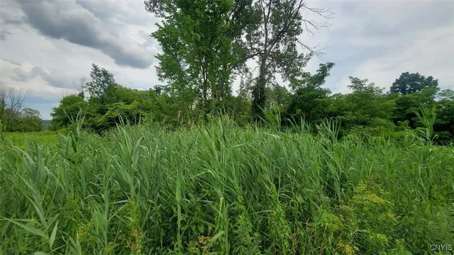 $60,000 | 0 Herman Road, Warners, NY 13164