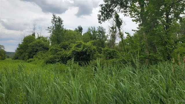 $60,000 | 0 Herman Road, Warners, NY 13164