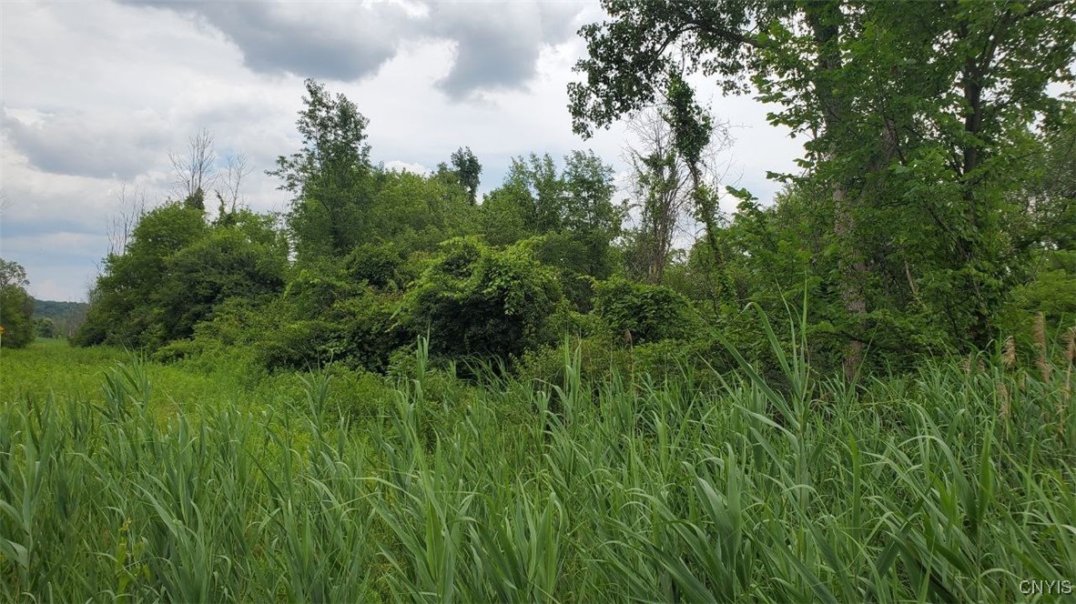 0 Herman Road Warners, NY 13164 - Photo 8 of 13