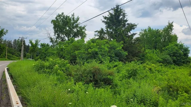 $60,000 | 0 Herman Road, Warners, NY 13164