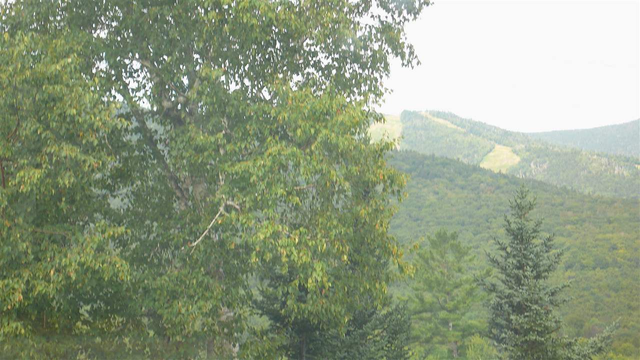 81 Osceola Road, Unit 10 Waterville Valley, NH 03215 - Photo 13 of 31 Gallery Image 13