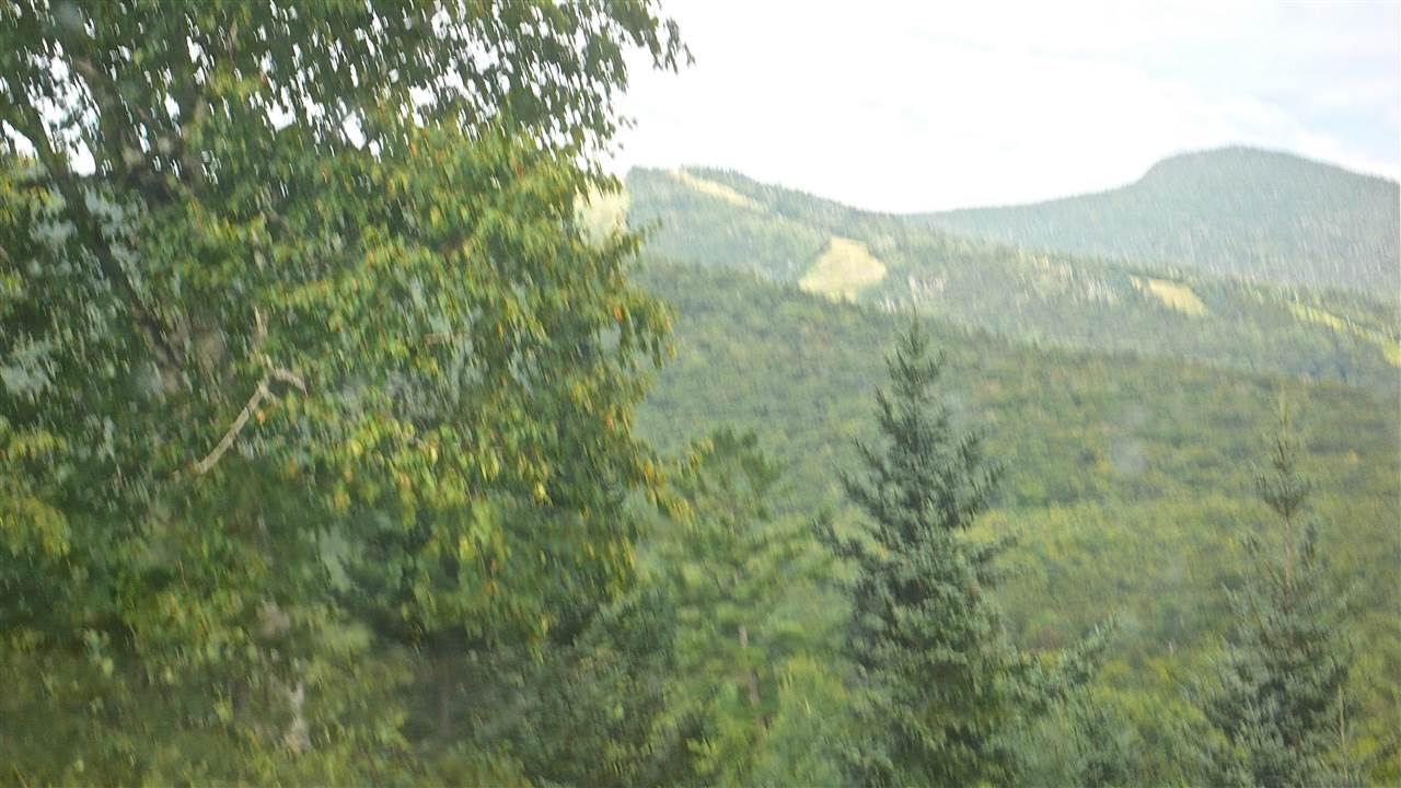 81 Osceola Road, Unit 10 Waterville Valley, NH 03215 - Photo 24 of 31 Gallery Image 24