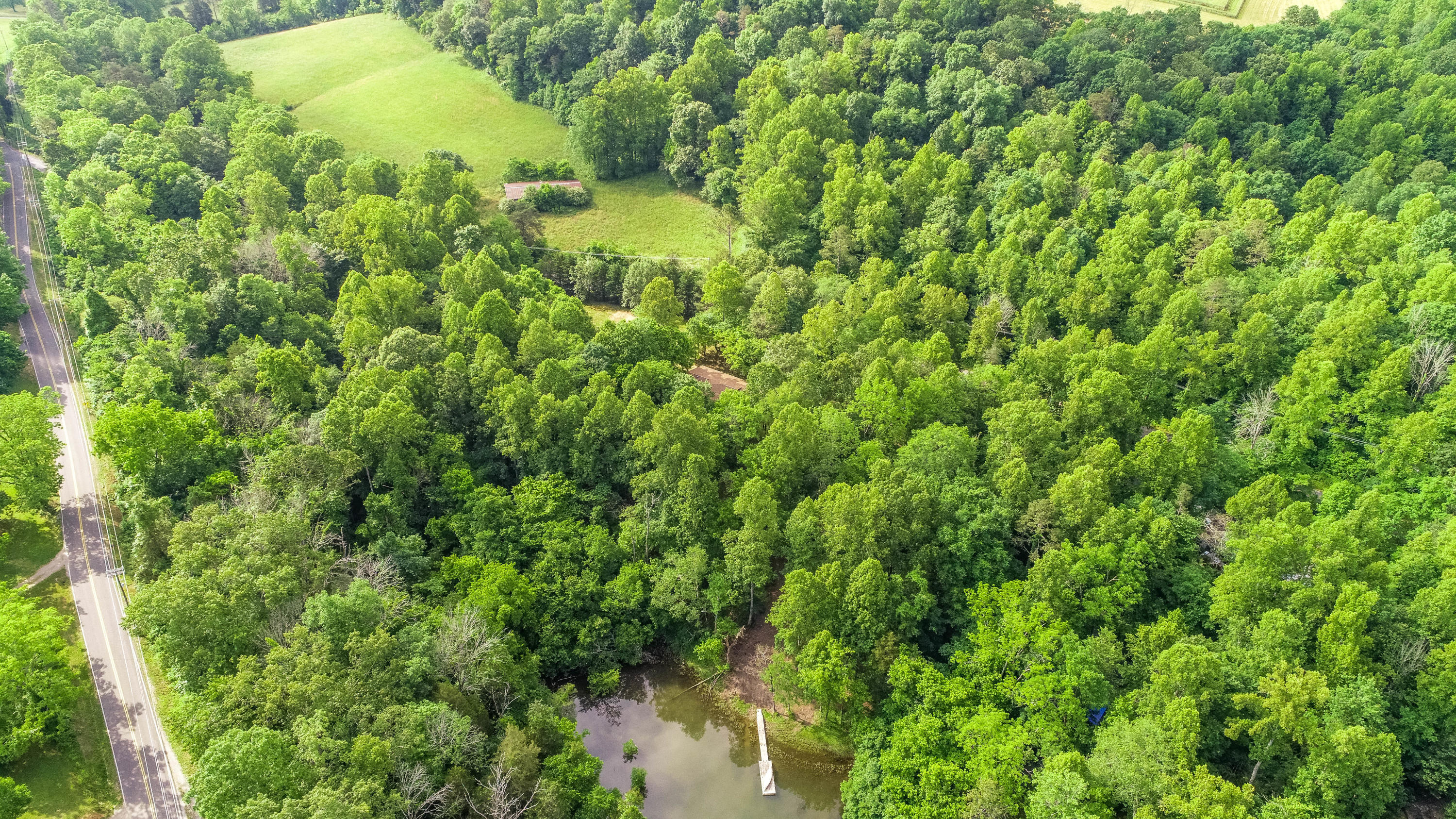 1235 Sequoyah Road Andersonville, TN 37705 - Photo 19 of 20 1235 Sequoyah Rd. 19