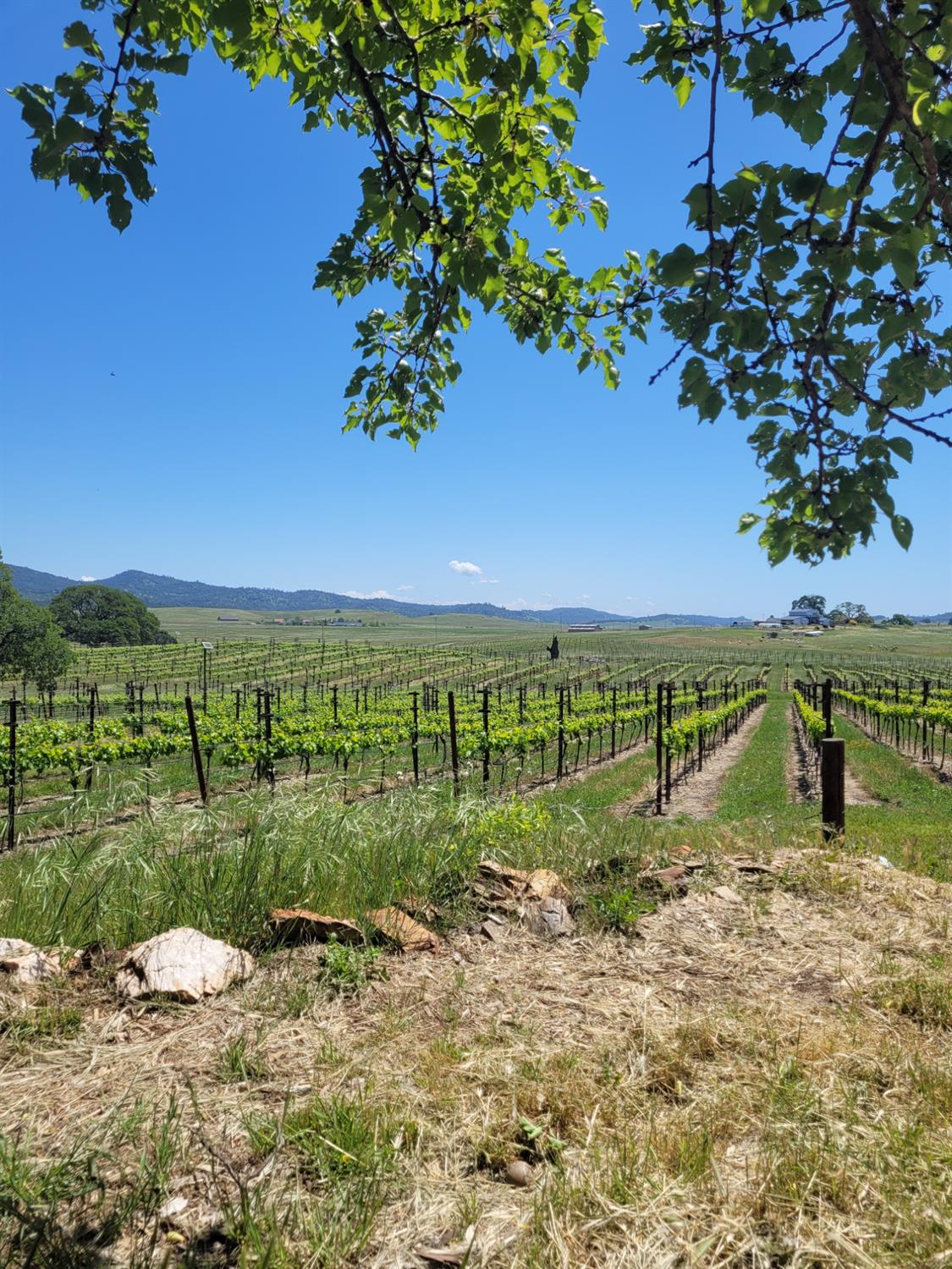 12550 Hogan Dam Road Farmington, CA 95230 - Photo 48 of 75