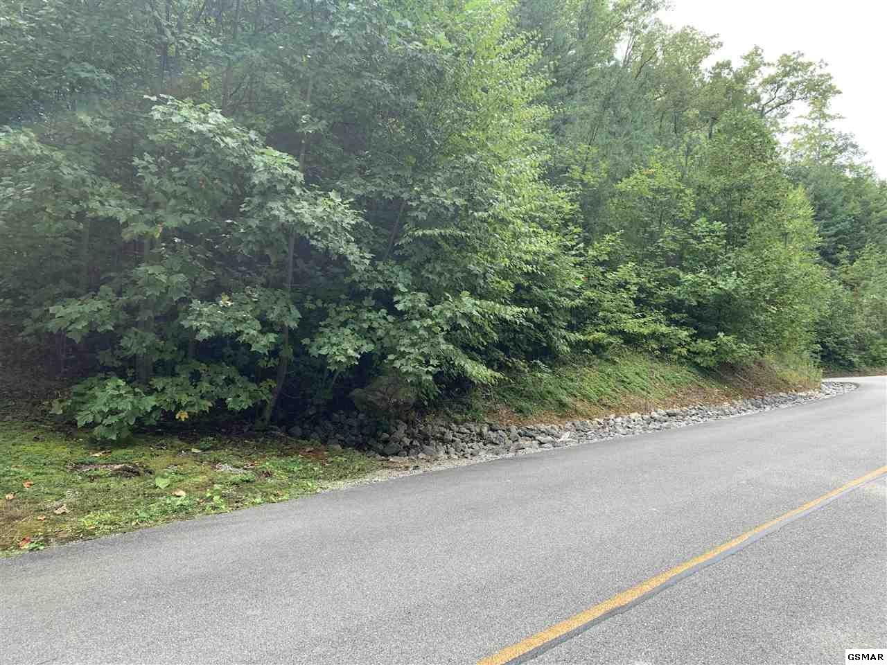 120 Long Rifle Road Sevierville, TN 37862 - Photo 2 of 11 Gallery Image 2