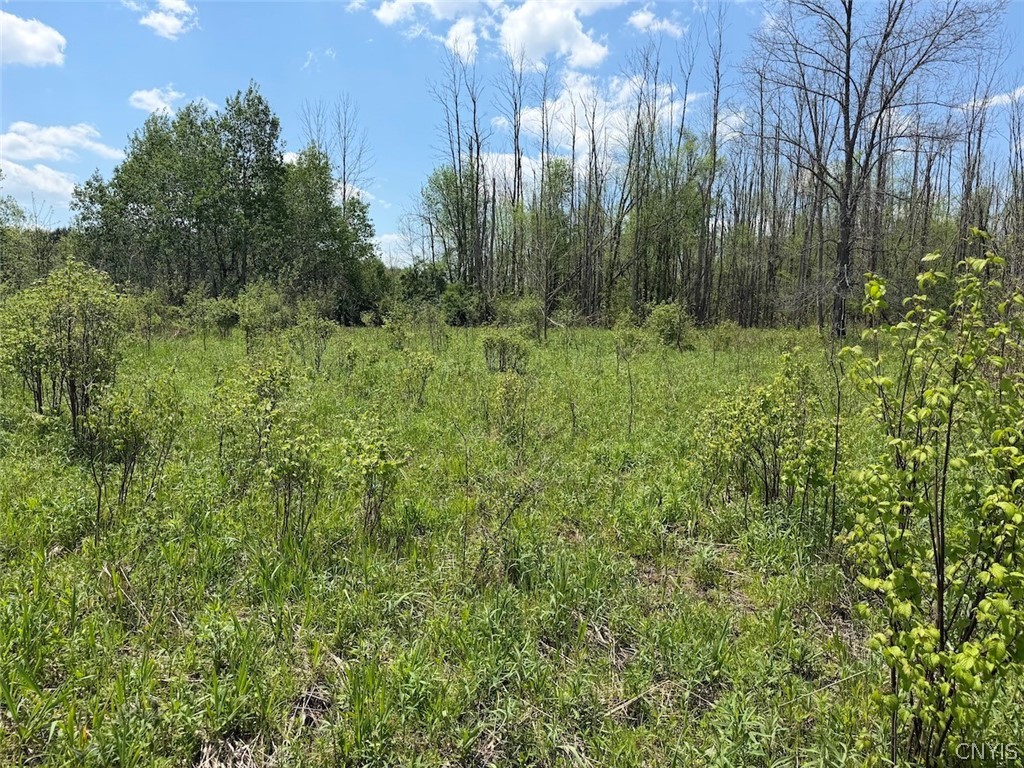 Buttermilk Road South Dayton, NY 14138 - Photo 13 of 26