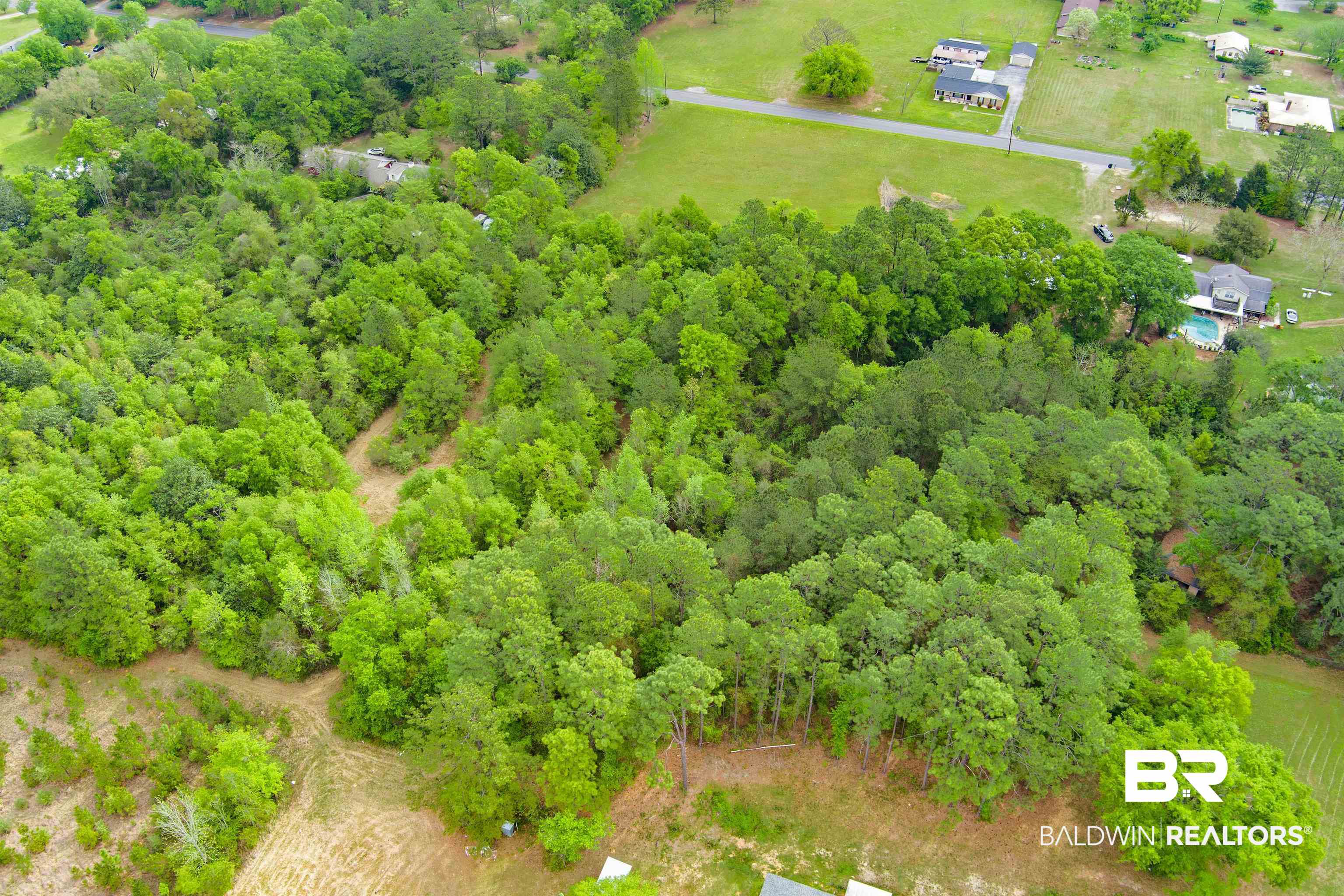 0 Wards Lane Semmes, AL 36575 - Photo 6 of 12
