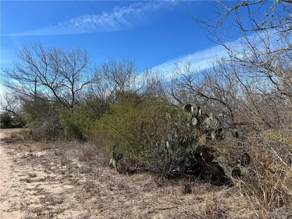 $350,000 | 0 Cr 440 Road, Alice, TX 78332