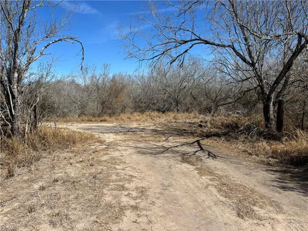 $350,000 | 0 Cr 440 Road, Alice, TX 78332