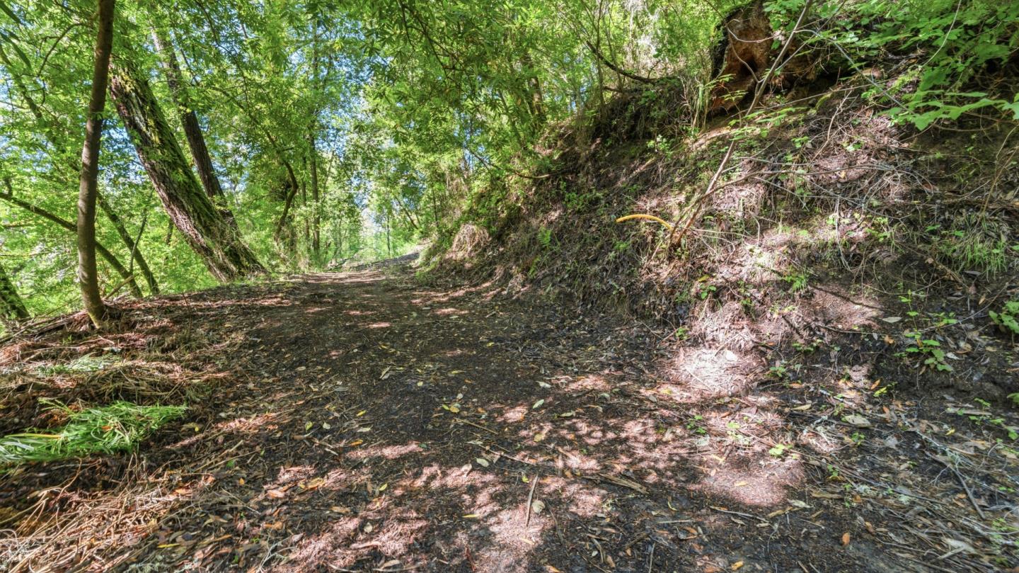 360 Rincon Way Boulder Creek, CA 95006 - Photo 9 of 46