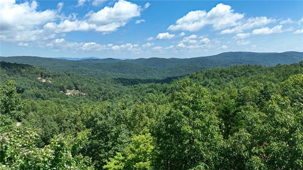 1050 Staghorn Road Purlear, NC 28665 - Photo 22 of 22 Gallery Image 22
