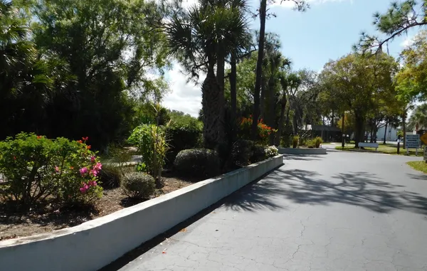 a view of a garden with a pathway
