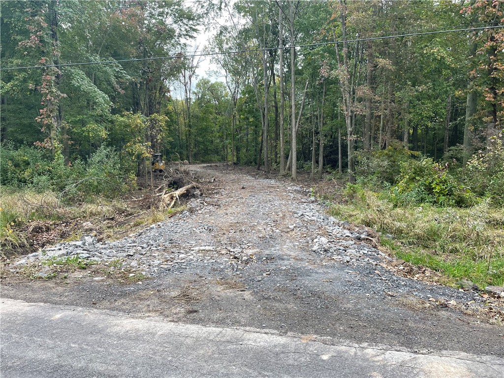 0 Mcnamar Road Holley, NY 14470 - Photo 11 of 15