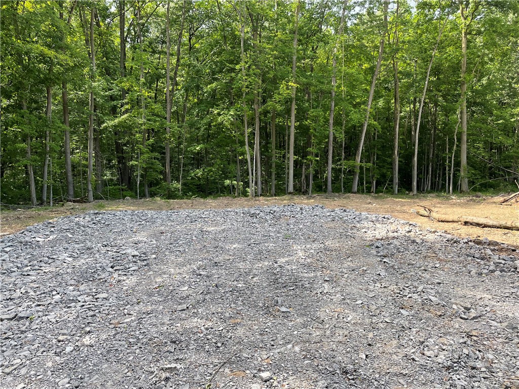 0 Mcnamar Road Holley, NY 14470 - Photo 12 of 15