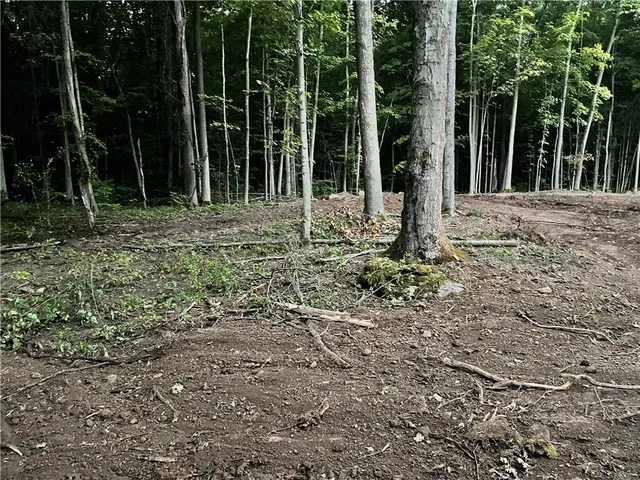 $338,000 | 0 Mcnamar Road, Holley, NY 14470